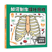 人体结构建筑师:如何制作强壮骨骼