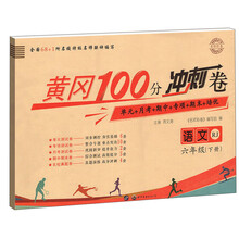 名师彩卷.六年级语文.下册