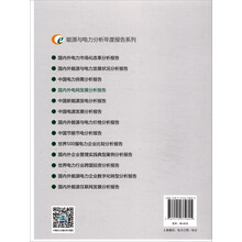 能源与电力分析年度报告系列:2019国内外电网发展分析报告