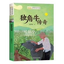 全国优秀儿童文学奖获奖作家书系——独角牛传奇