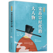 宋高宗时代的大人物 中国历史文化发展杰出人物传记故事书 岳飞 韩世忠 李清照 辛弃疾等