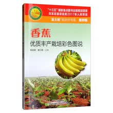 香蕉优质丰产栽培彩色图说（“金土地”新农村书系 · 果树编）