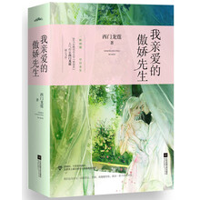 我亲爱的傲娇先生（上下）