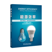 能源效率:建立清洁、安全的经济体系