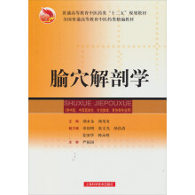 腧穴解剖学