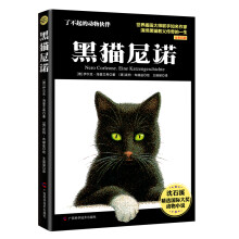 黑猫尼诺