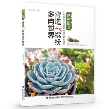 营造缤纷多肉世界