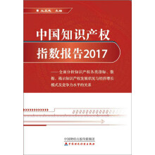 中国知识产权指数报告2017