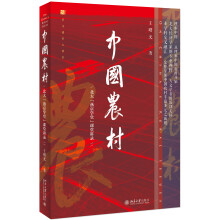 中国农村：北大“燕京学堂”课堂讲录