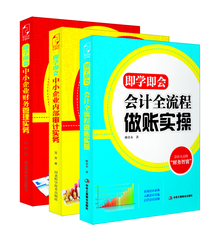 新手会计“即学即会”：中小企业财务管理实务+中小企业内部审计实务+会计全流程做账实操（套装共3册）