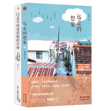 行走中何处安放的青春+远走的想象（套装共2册）
