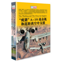 “疣猪”A-10攻击机和近距离空中支援