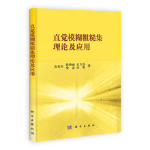 直觉模糊粗糙集理论及应用