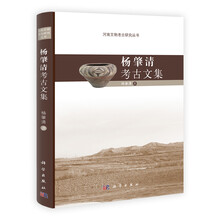河南文物考古研究丛书：杨肇清考古文集
