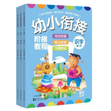 幼小衔接阶梯教程——识字(全3册)
