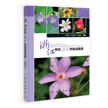 浙江野花300种精选图谱