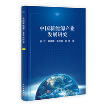 中国新能源产业发展研究