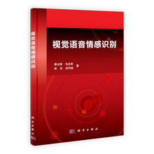 视觉语音情感识别