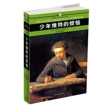 名家名译世界文学名著文库:少年维特的烦恼