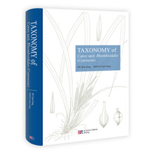 TAXONOMY of Carex sect.Rhomboidales(Cyperaceae)