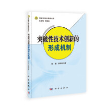 创新与创业管理丛书：突破性技术创新的形成机制