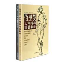经典伯里曼畅销人体书（套装全二册）伯里曼人体结构绘画教学》《艺用人体结构教学》