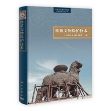 铁质文物保护技术