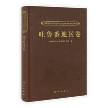 吐鲁番地区卷（精）/新疆维吾尔自治区第三次全国文物普查成果集成