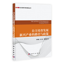 自主培育发展新兴产业的路径与政策