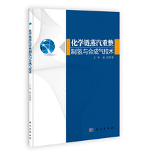 化学链蒸汽重整制氢与合成气技术