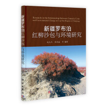 新疆罗布泊红柳沙包与环境研究