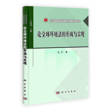 论全球环境法的形成与实现