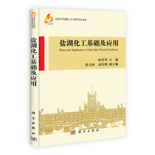 山西大学建校110周年学术文库：盐湖化工基础及应用