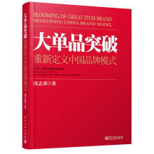 大单品突破——重新定义中国品牌模式