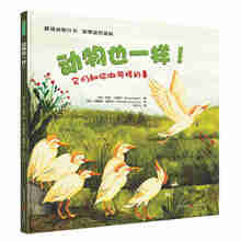 动物也一样！它们和你做同样的事