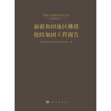 新疆文物保护研究丛书(乙种本之一):新疆和田地区佛塔抢险加固工程报告