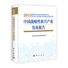 中国战略性新兴产业发展报告 2013