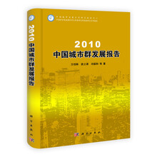 2010中国城市群发展报告