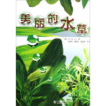 美丽的水草