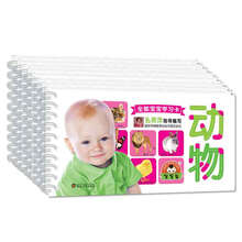 小白兔童书馆：全能宝宝学习卡（套装全10册）（3-6岁）