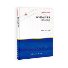 纳米孔材料化学：催化及功能化
