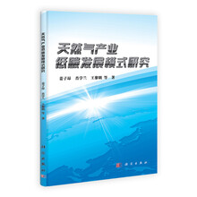 天然气产业低碳发展模式研究