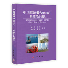 中国能源报告（2012）：能源安全研究