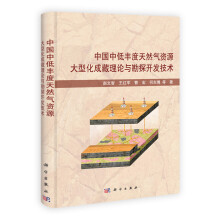中国中低丰度天然气资源大型化成藏理论与勘探开发技术