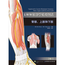 LWW解剖学精要图谱：背部、上肢和下肢  [Lippincott’s Concise Illustrated Anatomy: Back, Up]