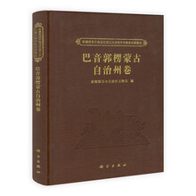 新疆维吾尔自治区第三次全国文物普查成果集成：巴音郭楞蒙古自治州卷