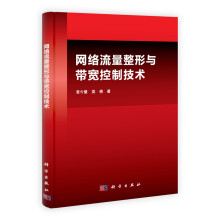 网络流量整形与带宽控制技术