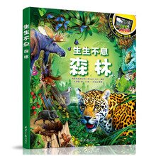 生生不息：森林