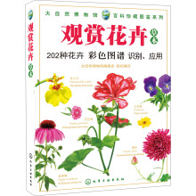 观赏花卉（草本）