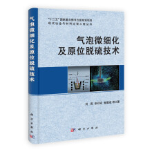 “十二五”国家重点图书出版规划项目·现代治金与材料过程工程丛书：气泡微细化及原位脱硫技术